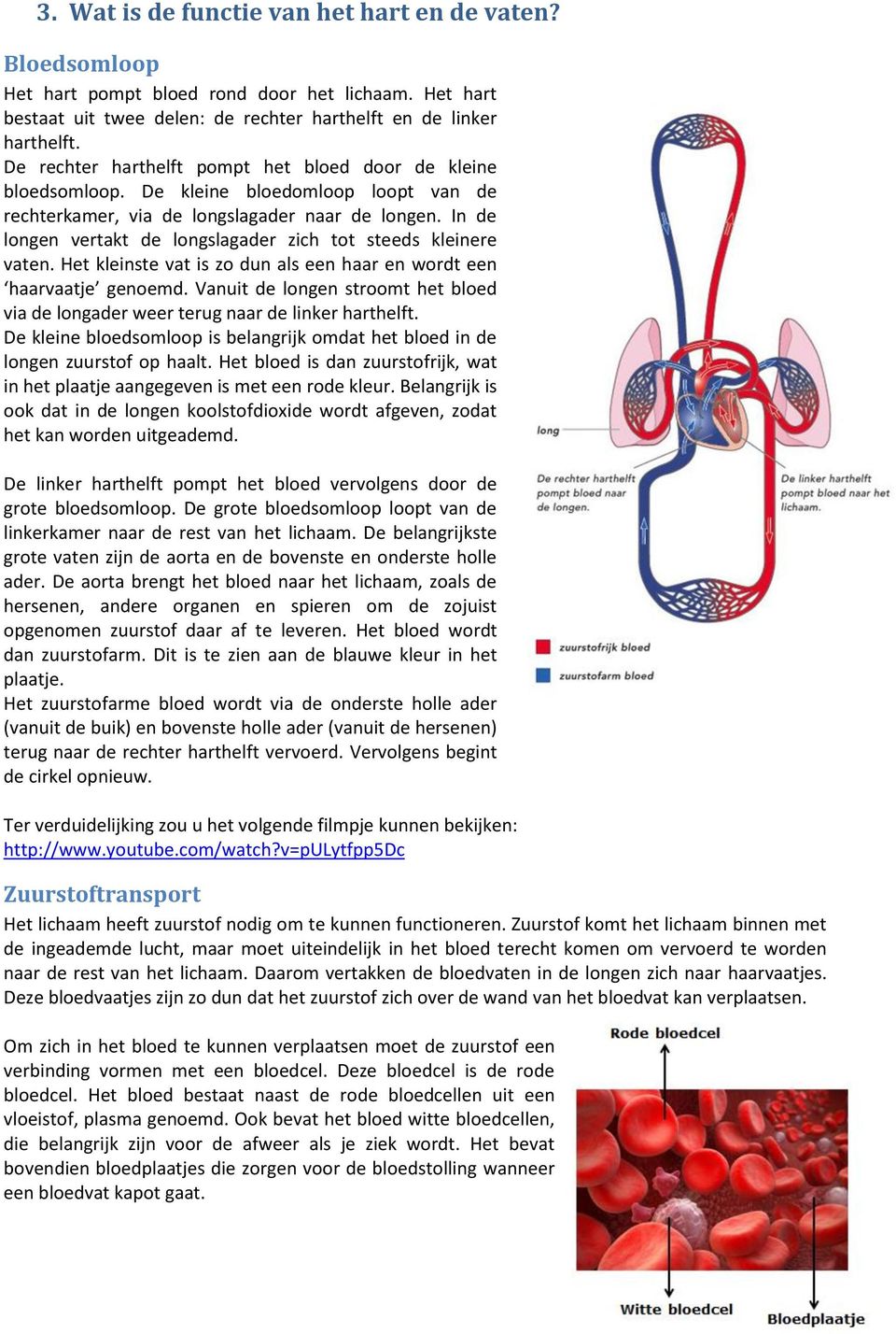 In de longen vertakt de longslagader zich tot steeds kleinere vaten. Het kleinste vat is zo dun als een haar en wordt een haarvaatje genoemd.