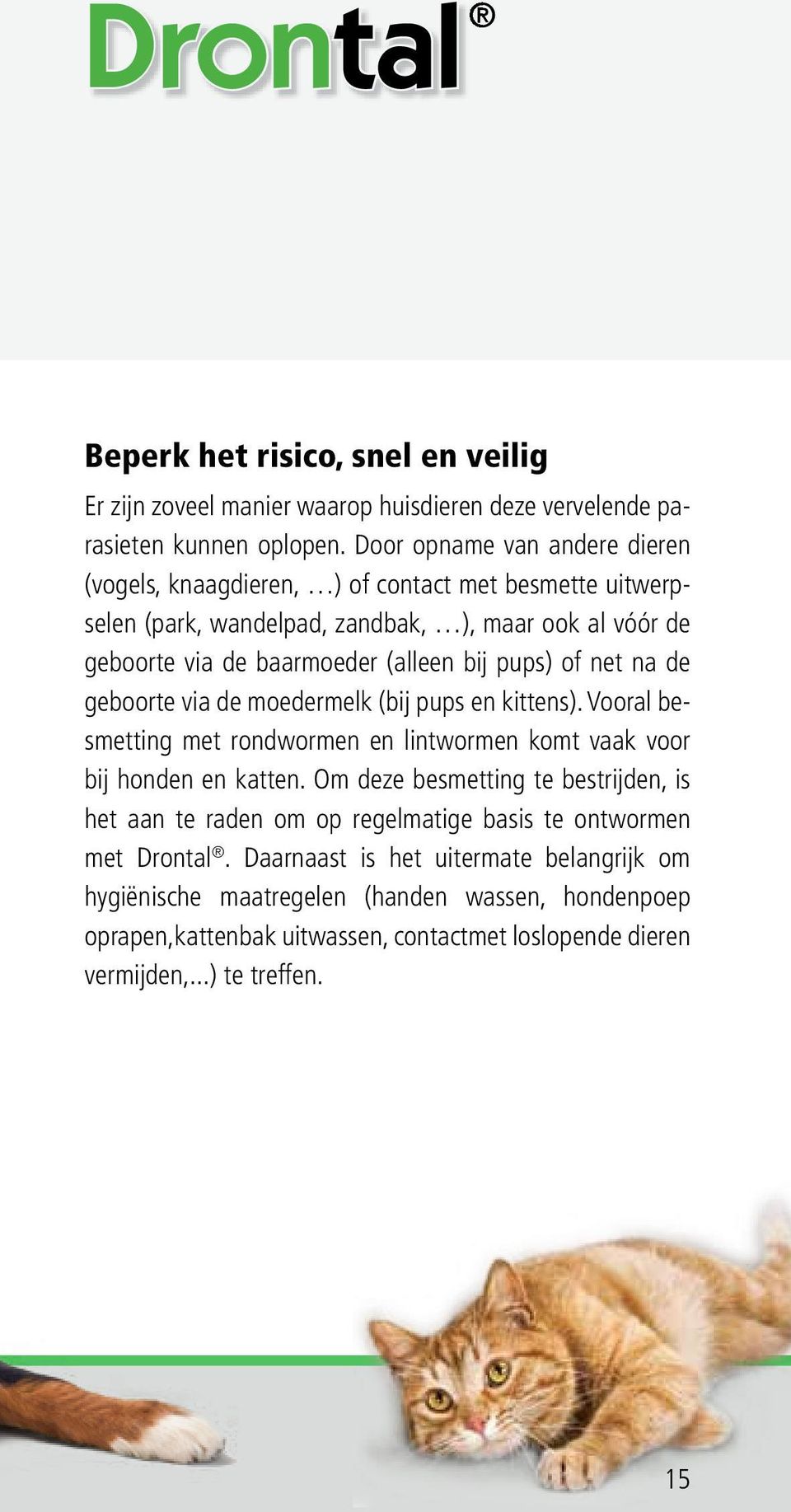 Door opname van andere dieren (vogels, knaagdieren, ) of contact met besmette uitwerpselen (park, wandelpad, zandbak, ), maar ook al vóór de geboorte via de baarmoeder (alleen bij pups) of net na de