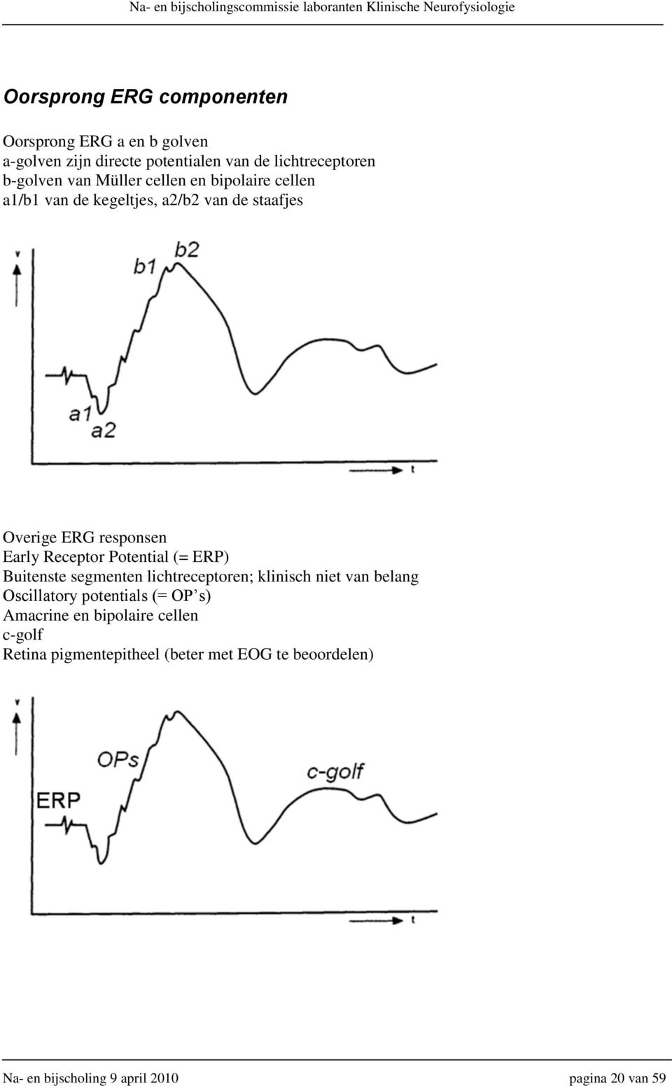 Potential (= ERP) Buitenste segmenten lichtreceptoren; klinisch niet van belang Oscillatory potentials (= OP s) Amacrine
