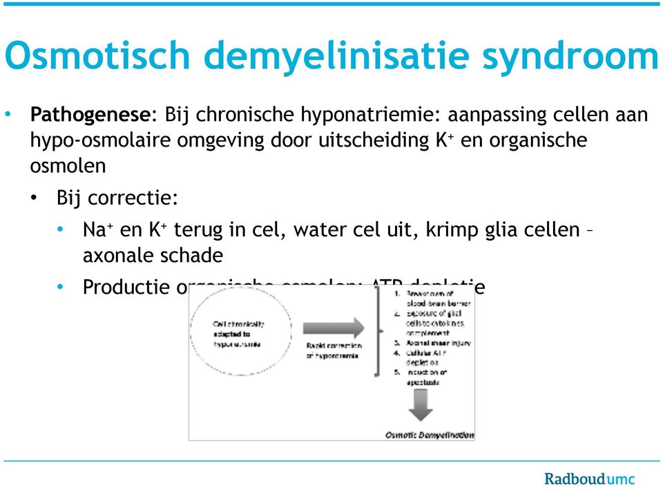 uitscheiding K + en organische osmolen Bij correctie: Na + en K + terug in