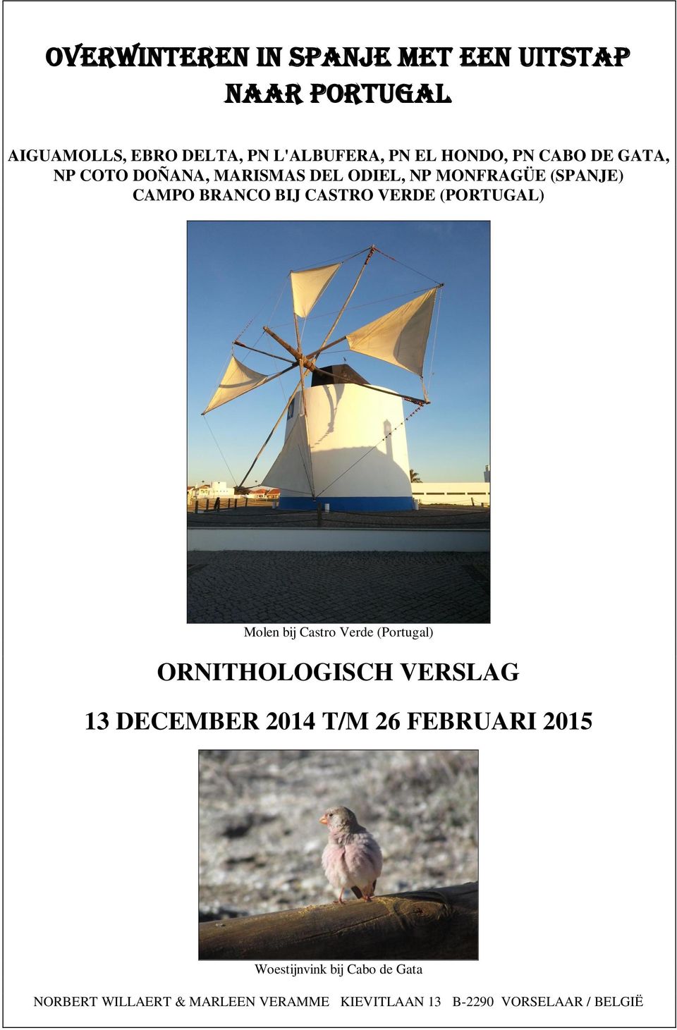 (PORTUGAL) Molen bij Castro Verde (Portugal) ORNITHOLOGISCH VERSLAG 13 DECEMBER 2014 T/M 26 FEBRUARI