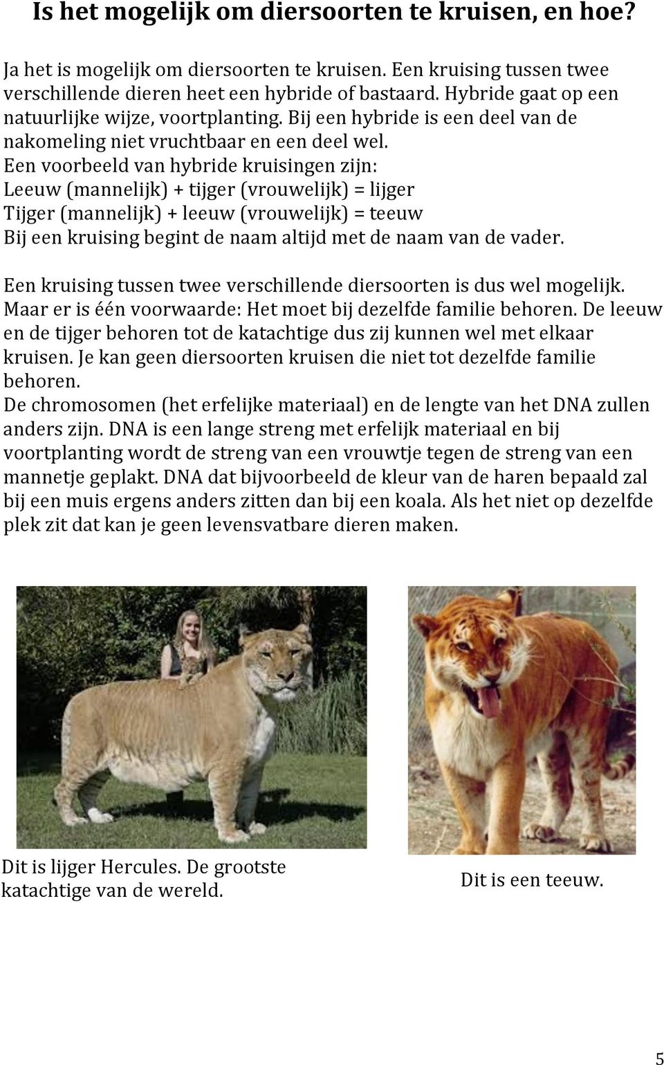 Een voorbeeld van hybride kruisingen zijn: Leeuw (mannelijk) + tijger (vrouwelijk) = lijger Tijger (mannelijk) + leeuw (vrouwelijk) = teeuw Bij een kruising begint de naam altijd met de naam van de