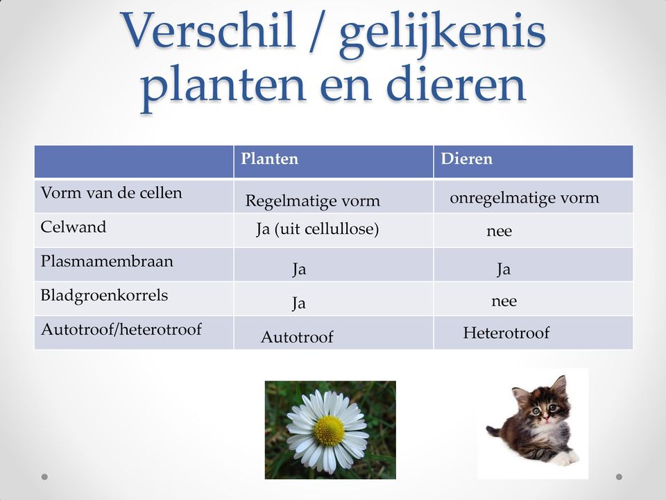Autotroof/heterotroof Planten Regelmatige vorm Ja (uit