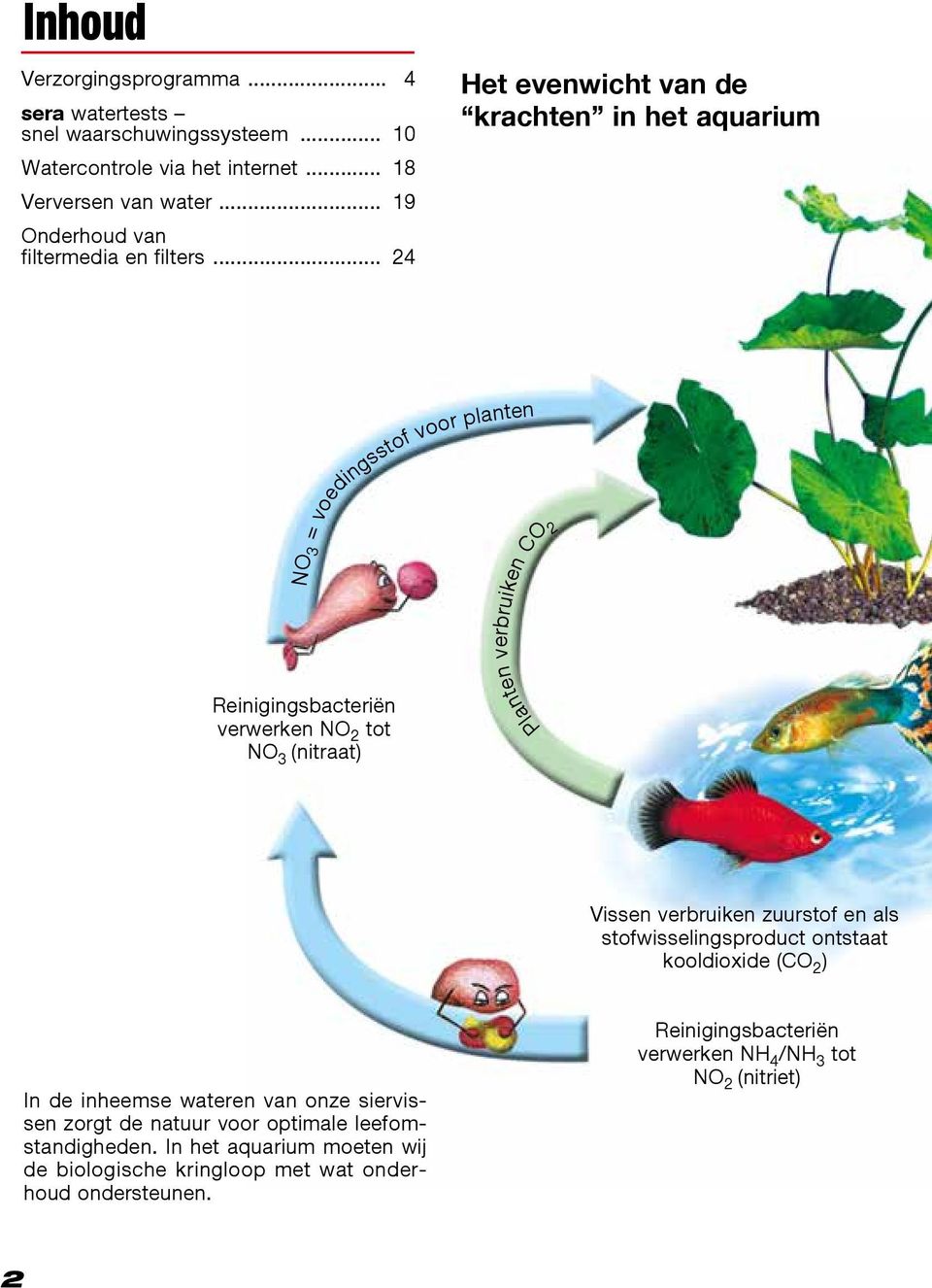 .. 24 Het evenwicht van de krachten in het aquarium Reinigingsbacteriën verwerken NO 2 tot NO 3 (nitraat) Planten verbruiken CO2 NO 3 = voedingsstof voor planten