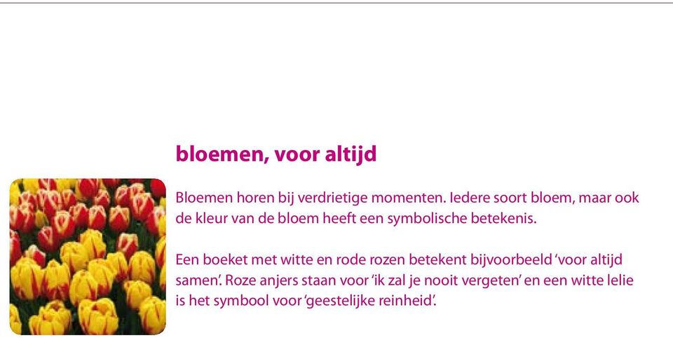 Een boeket met witte en rode rozen betekent bijvoorbeeld voor altijd samen.