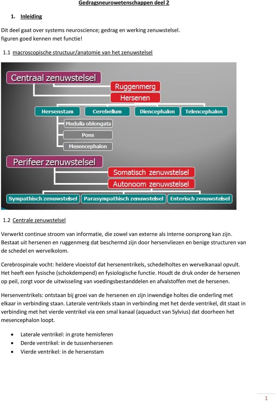 Bestaat uit hersenen en ruggenmerg dat beschermd zijn door hersenvliezen en benige structuren van de schedel en wervelkolom.