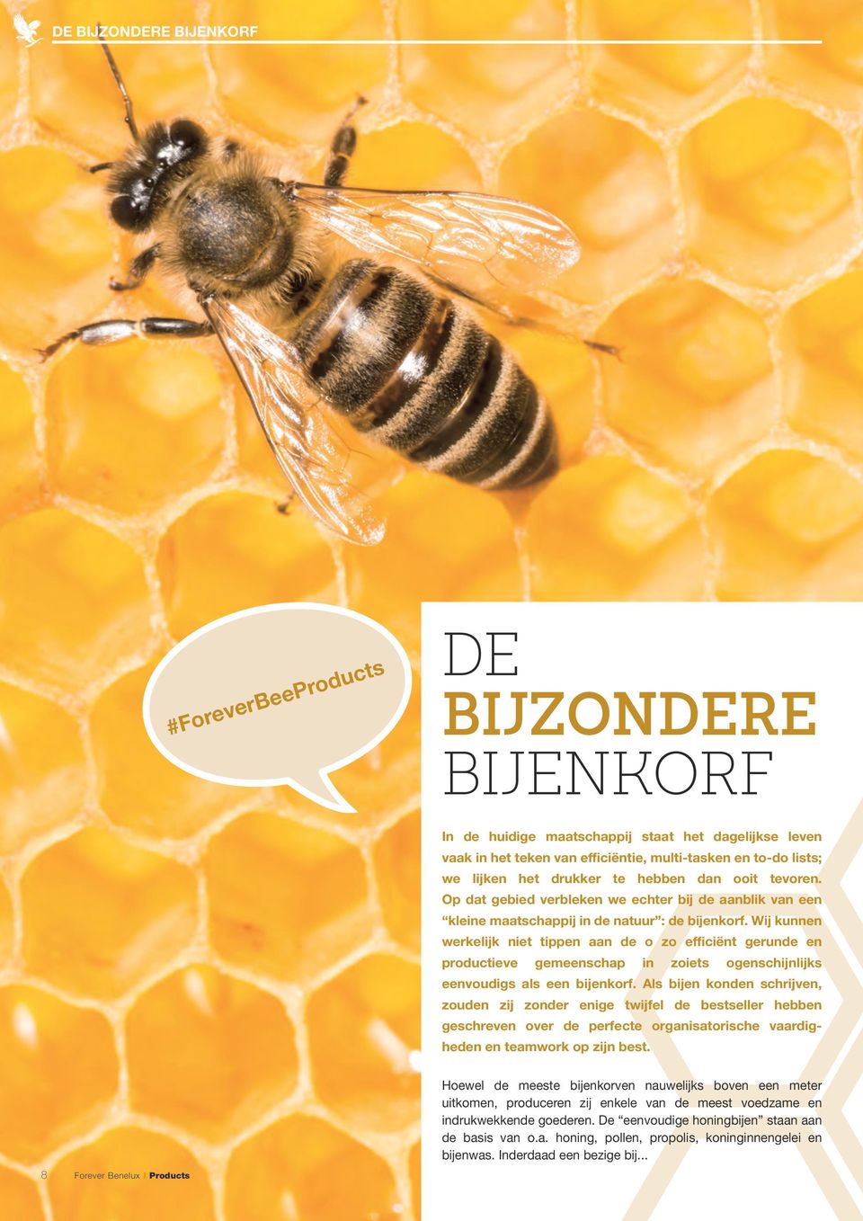 Wij kunnen werkelijk niet tippen aan de o zo efficiënt gerunde en productieve gemeenschap in zoiets ogenschijnlijks eenvoudigs als een bijenkorf.