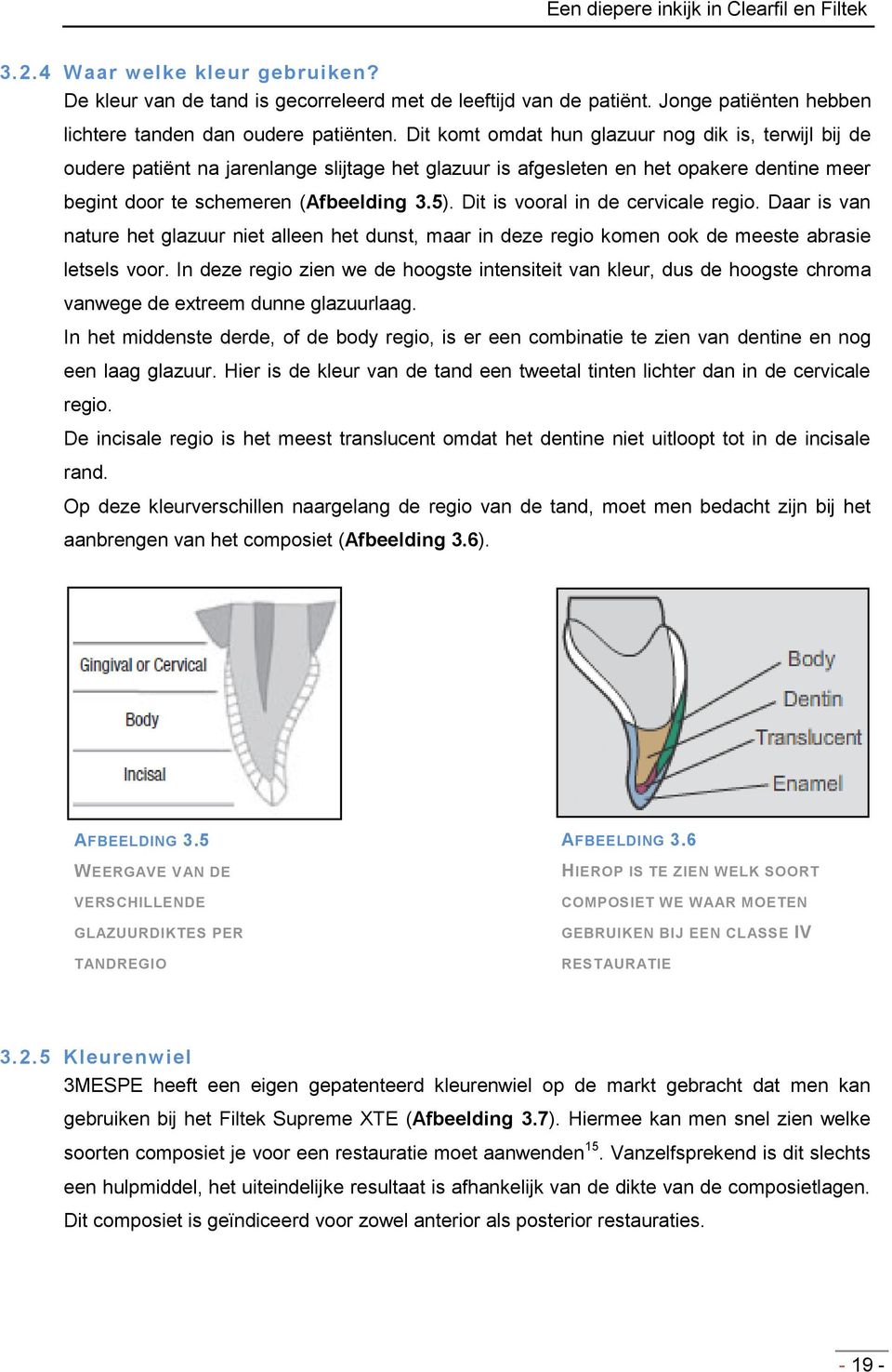 Dit komt omdat hun glazuur nog dik is, terwijl bij de oudere patiënt na jarenlange slijtage het glazuur is afgesleten en het opakere dentine meer begint door te schemeren (Afbeelding 3.5).