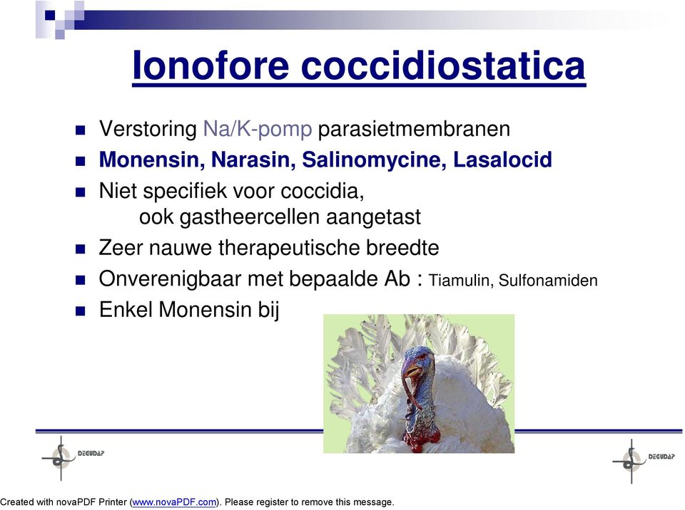 coccidia, ook gastheercellen aangetast Zeer nauwe therapeutische