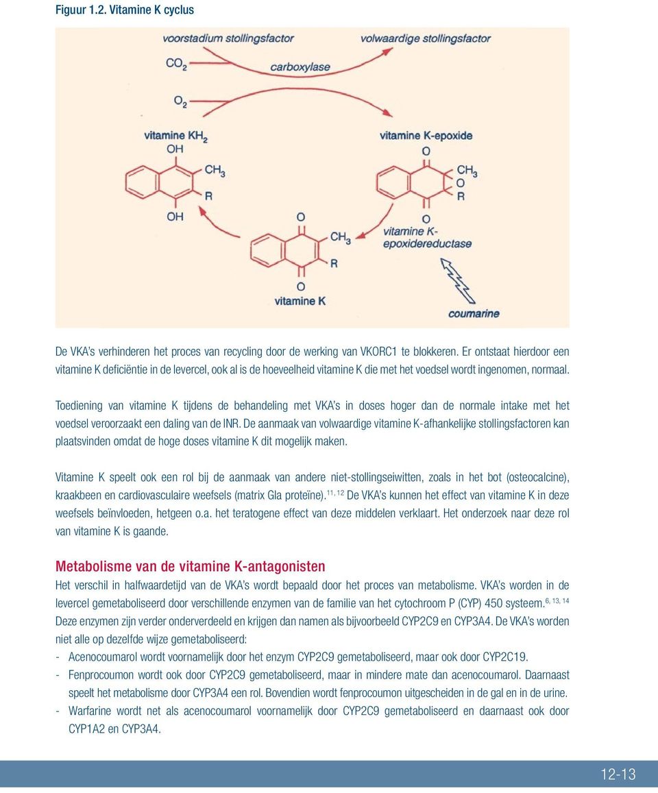 Toediening van vitamine K tijdens de behandeling met VKA s in doses hoger dan de normale intake met het voedsel veroorzaakt een daling van de INR.