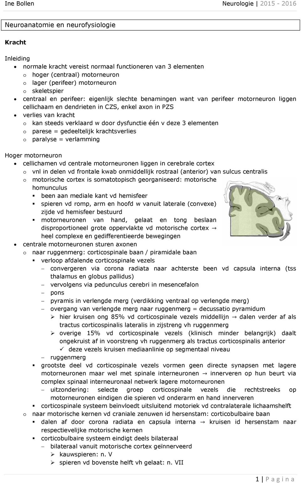 elementen o parese = gedeeltelijk krachtsverlies o paralyse = verlamming Hoger motorneuron cellichamen vd centrale motorneuronen liggen in cerebrale cortex o vnl in delen vd frontale kwab