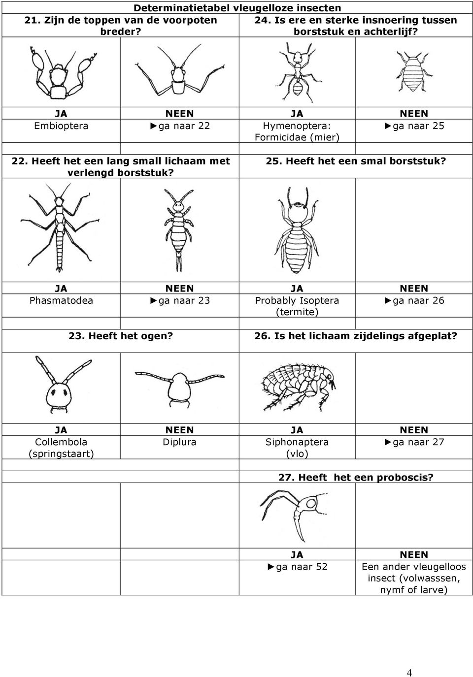 Phasmatodea ga naar 23 Probably Isoptera ga naar 26 (termite) 23. Heeft het ogen? 26. Is het lichaam zijdelings afgeplat?