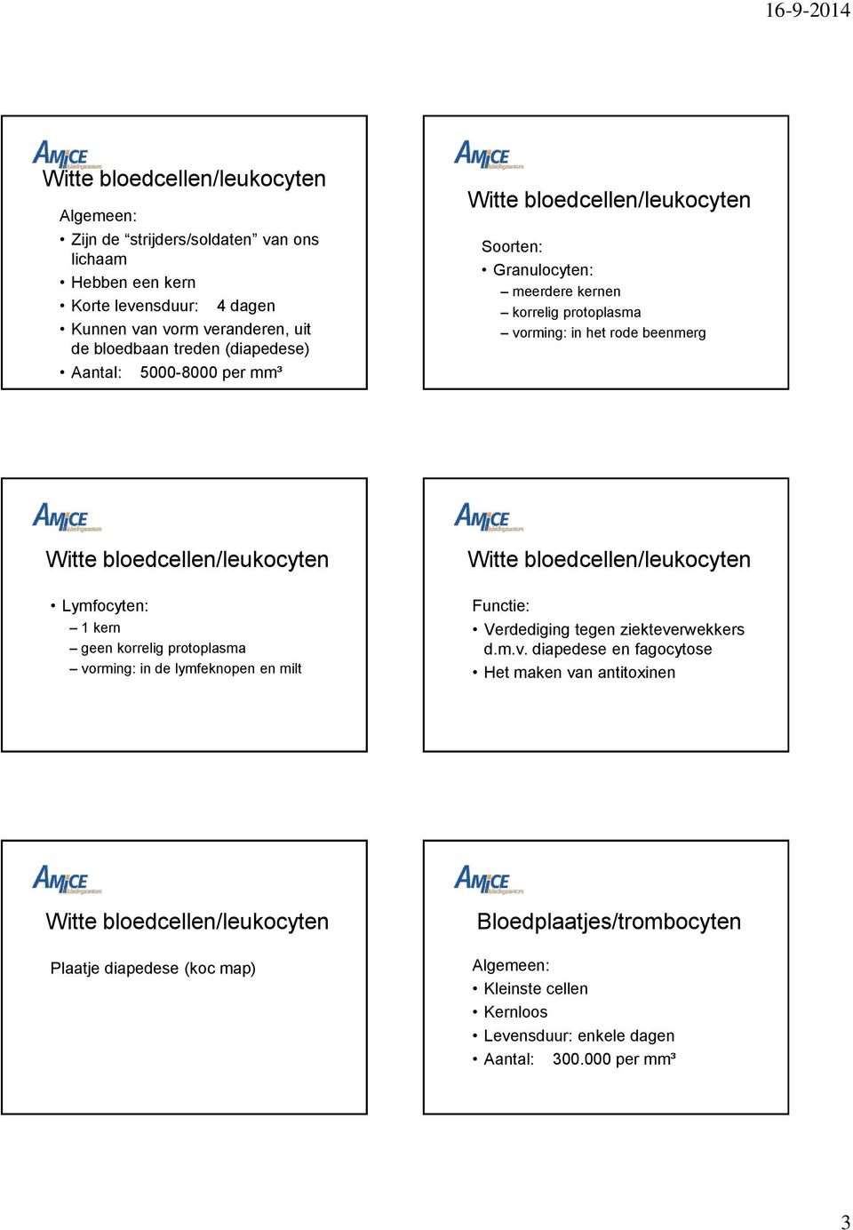 bloedcellen/leukocyten Lymfocyten: 1 kern geen korrelig protoplasma vo