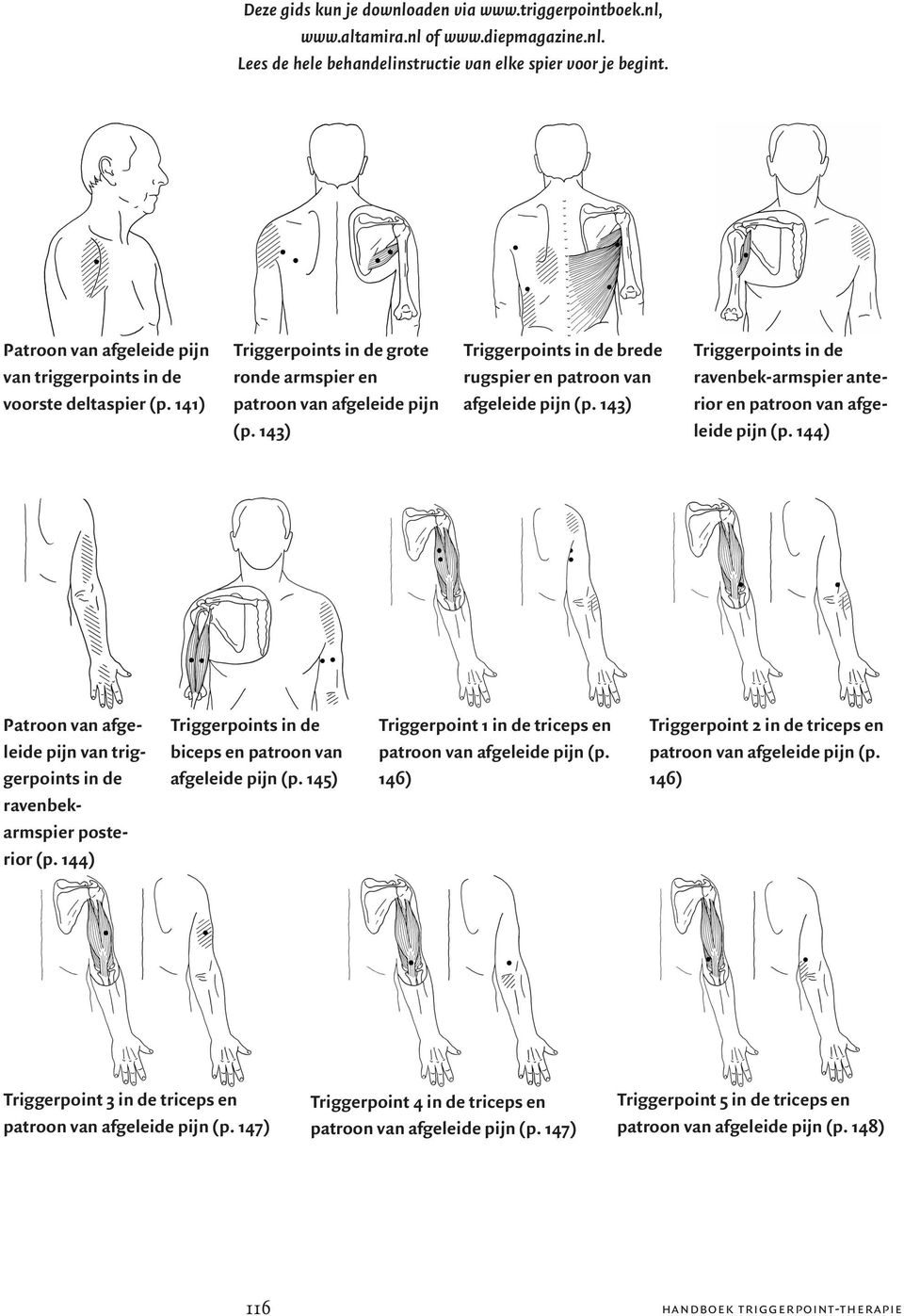 143) Triggerpoints ravenbek-armspier anterior en patroon van afgeleide pijn (p. 144) ravenbekarmspier posterior (p. 144) Triggerpoints biceps en patroon van afgeleide pijn (p.