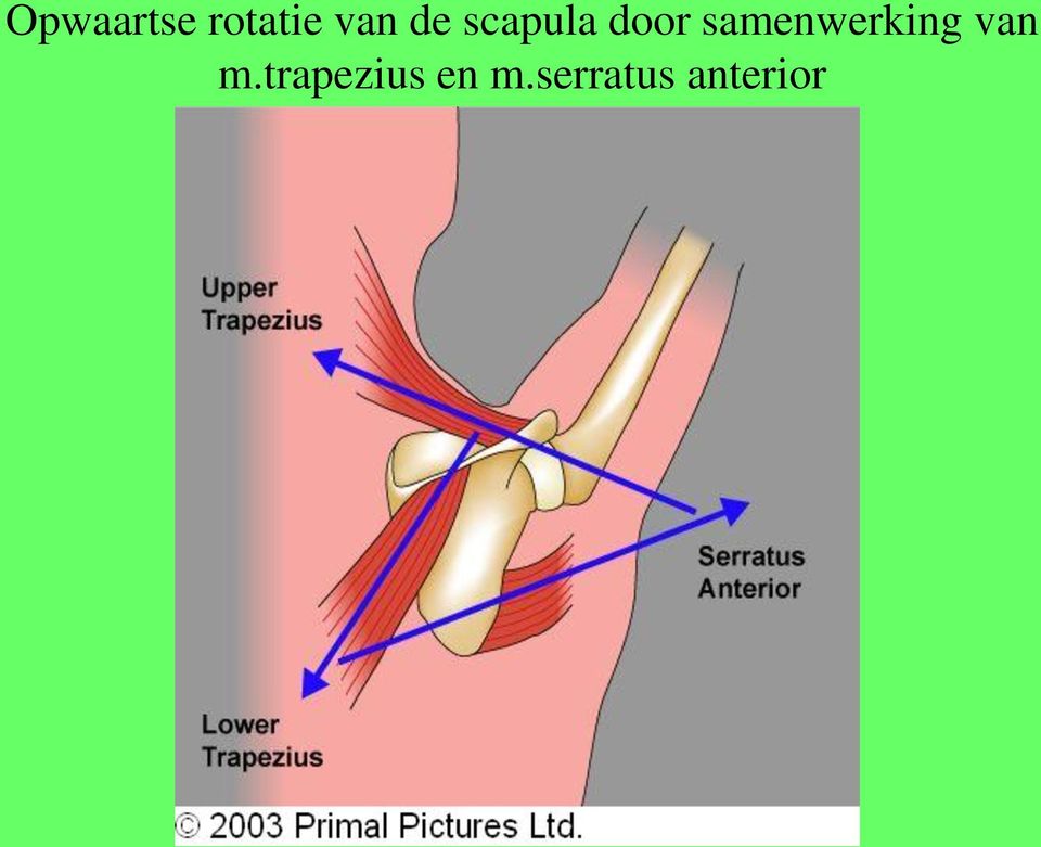 samenwerking van m.