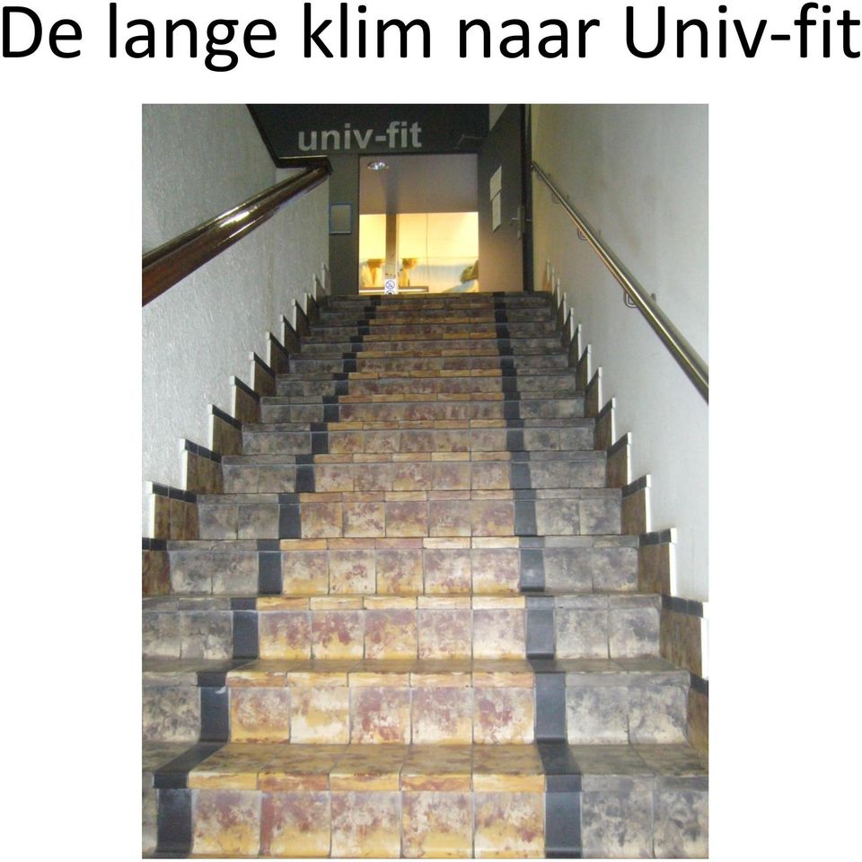 Univ-fit