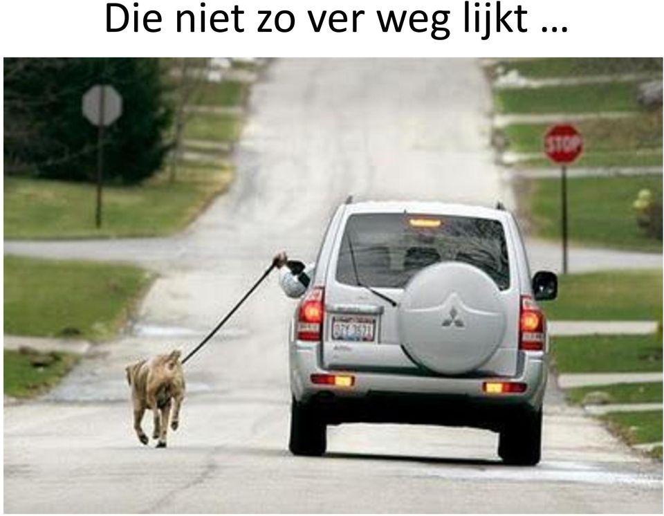 weg lijkt