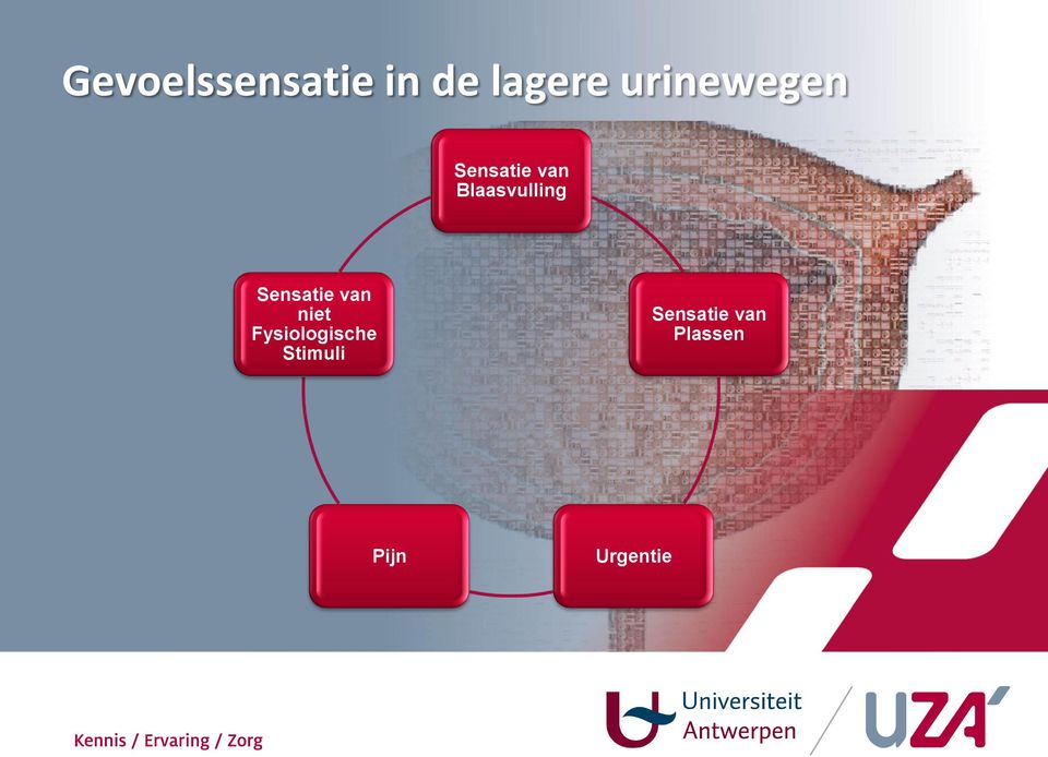 Blaasvulling Sensatie van niet