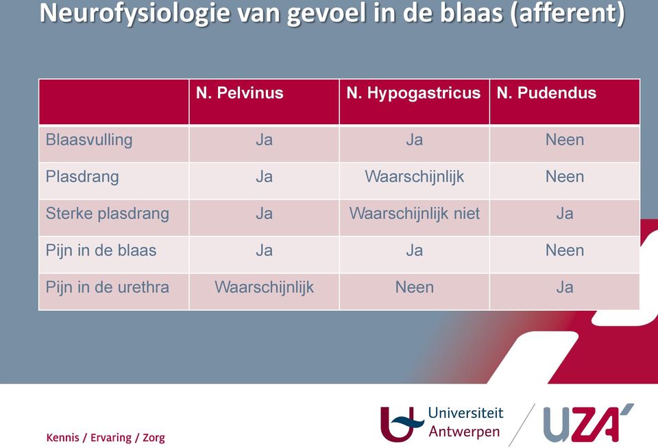 Pudendus Blaasvulling Ja Ja Neen Plasdrang Ja Waarschijnlijk