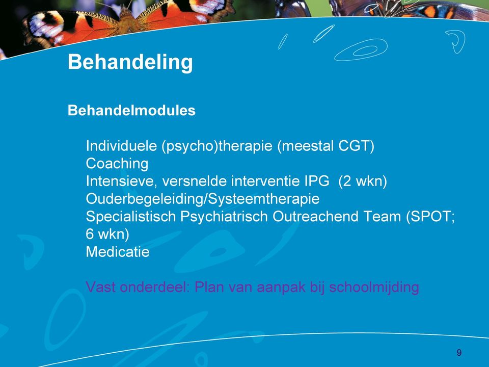 Ouderbegeleiding/Systeemtherapie Specialistisch Psychiatrisch