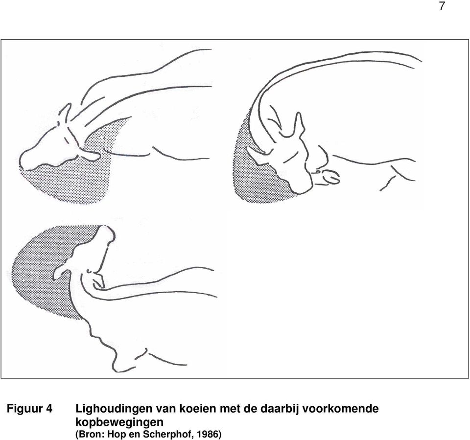 voorkomende kopbewegingen