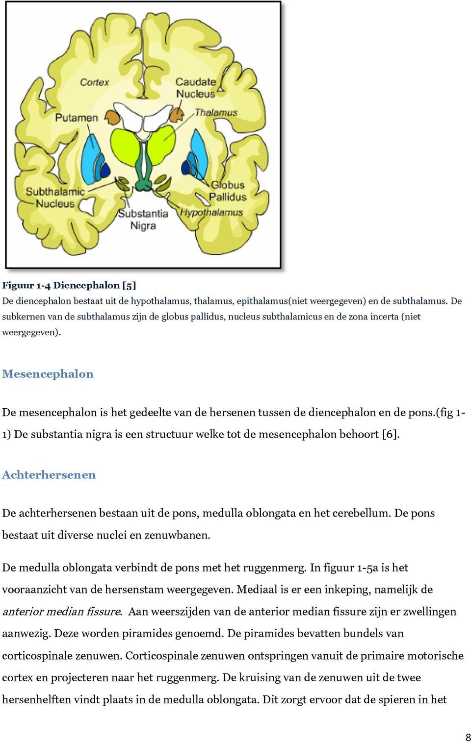 Mesencephalon De mesencephalon is het gedeelte van de hersenen tussen de diencephalon en de pons.(fig 1-1) De substantia nigra is een structuur welke tot de mesencephalon behoort [6].