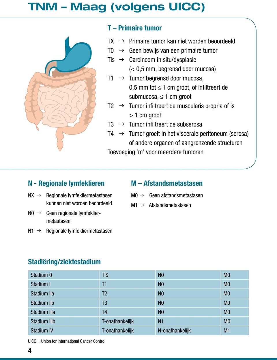 Tumor groeit in het viscerale peritoneum (serosa) of andere organen of aangrenzende structuren Toevoeging m voor meerdere tumoren N - Regionale lymfeklieren NX g Regionale lymfekliermetastasen kunnen