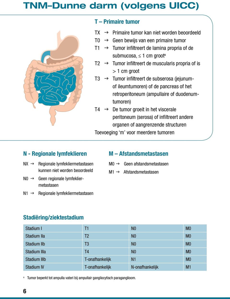 duodenumtumoren) T4 g De tumor groeit in het viscerale peritoneum (serosa) of infiltreert andere organen of aangrenzende structuren Toevoeging m voor meerdere tumoren N - Regionale lymfeklieren NX g