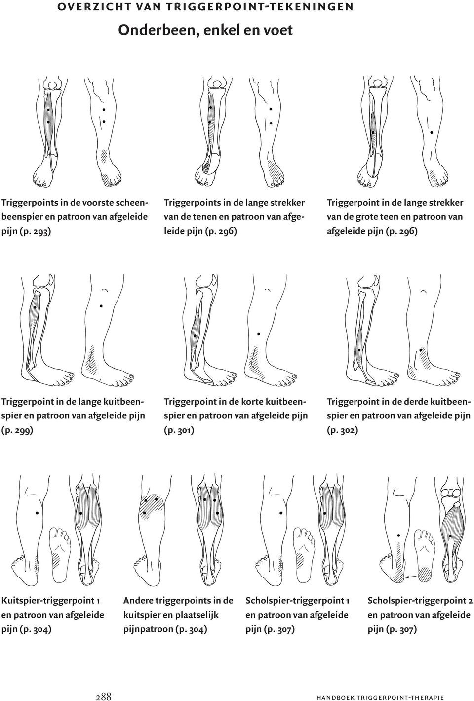 296) lange kuitbeenspier pijn (p. 299) korte kuitbeenspier pijn (p. 301) derde kuitbeenspier pijn (p.