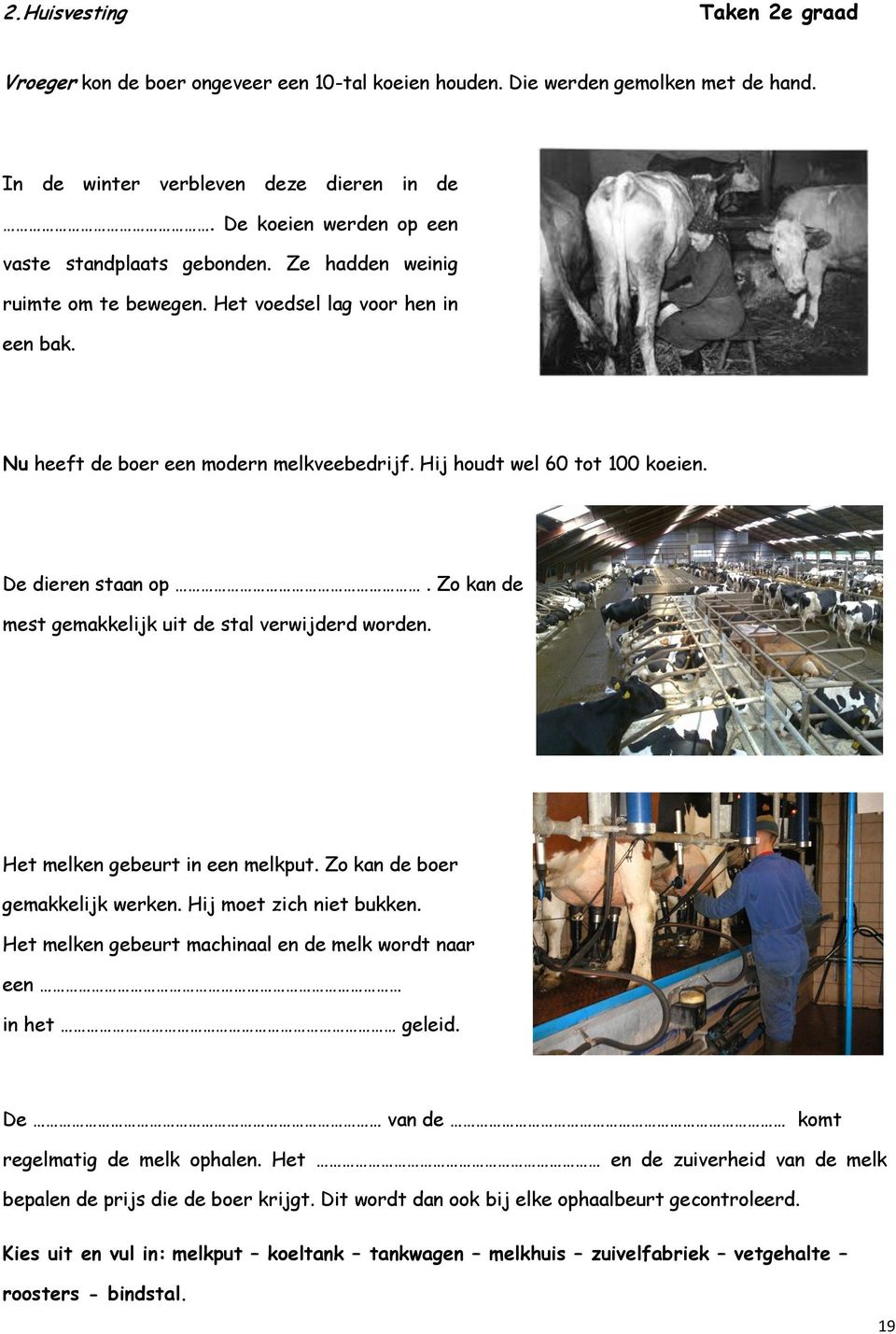 Hij houdt wel 60 tot 100 koeien. De dieren staan op. Zo kan de mest gemakkelijk uit de stal verwijderd worden. Het melken gebeurt in een melkput. Zo kan de boer gemakkelijk werken.