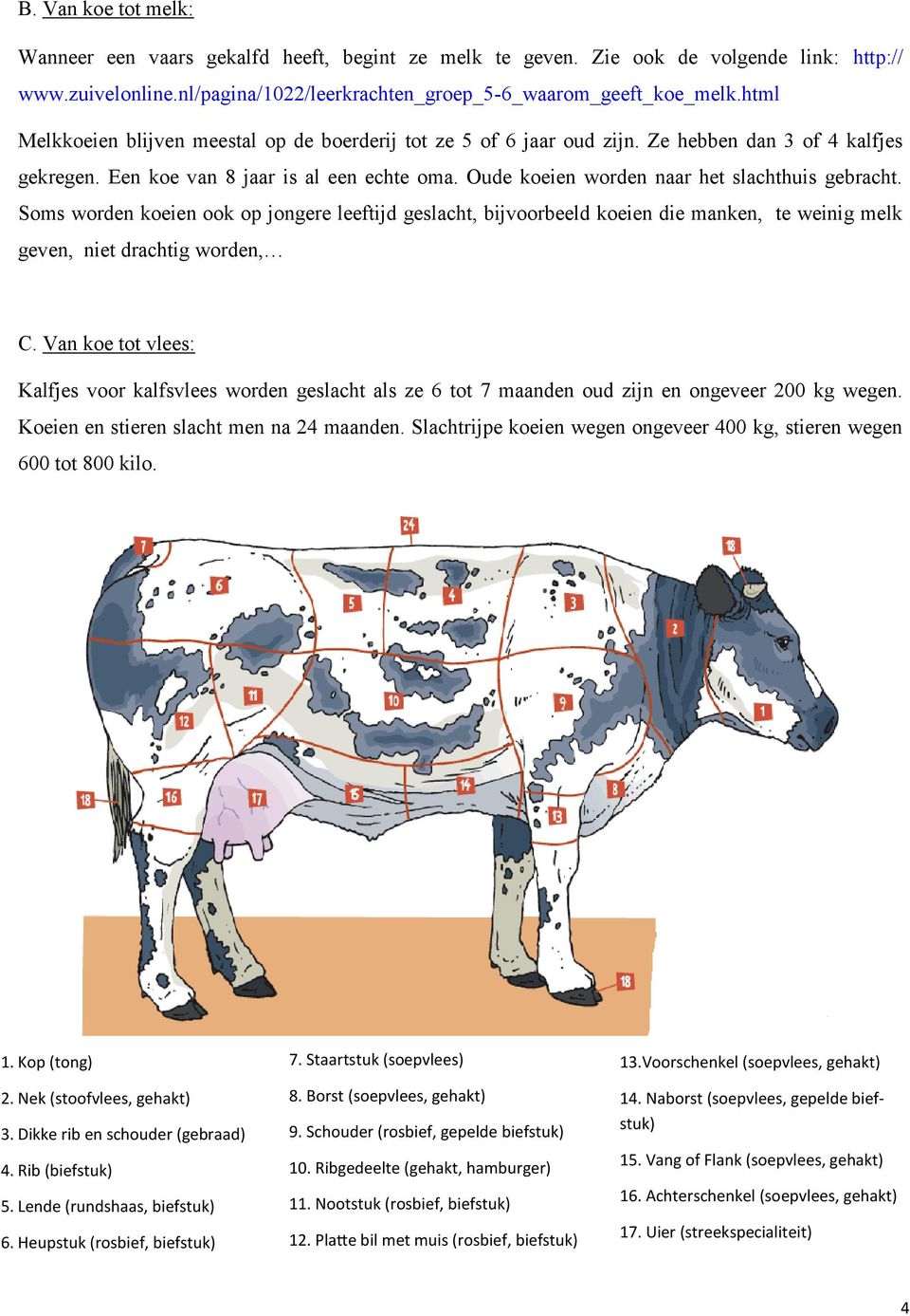 Oude koeien worden naar het slachthuis gebracht. Soms worden koeien ook op jongere leeftijd geslacht, bijvoorbeeld koeien die manken, te weinig melk geven, niet drachtig worden, C.