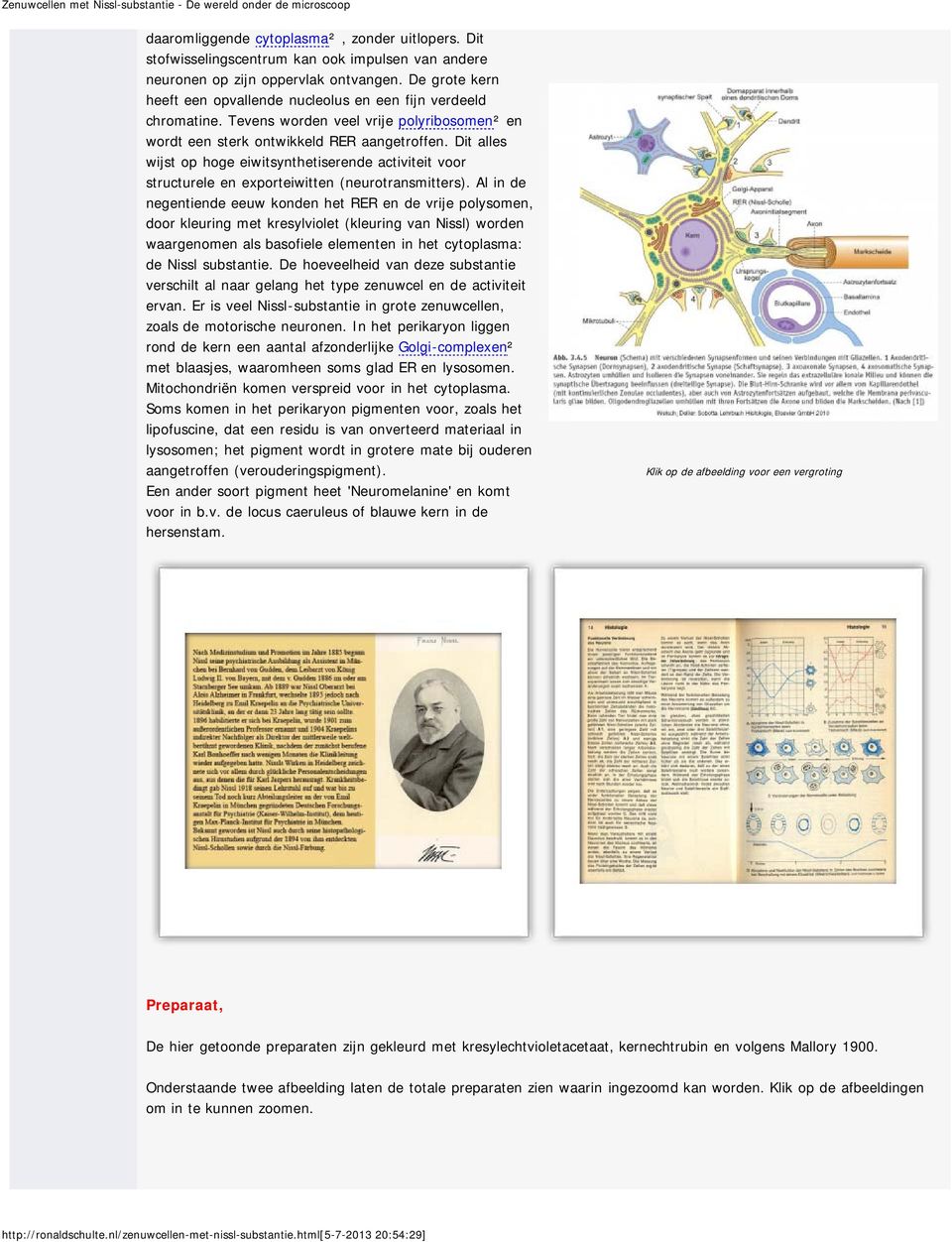 Dit alles wijst op hoge eiwitsynthetiserende activiteit voor structurele en exporteiwitten (neurotransmitters).