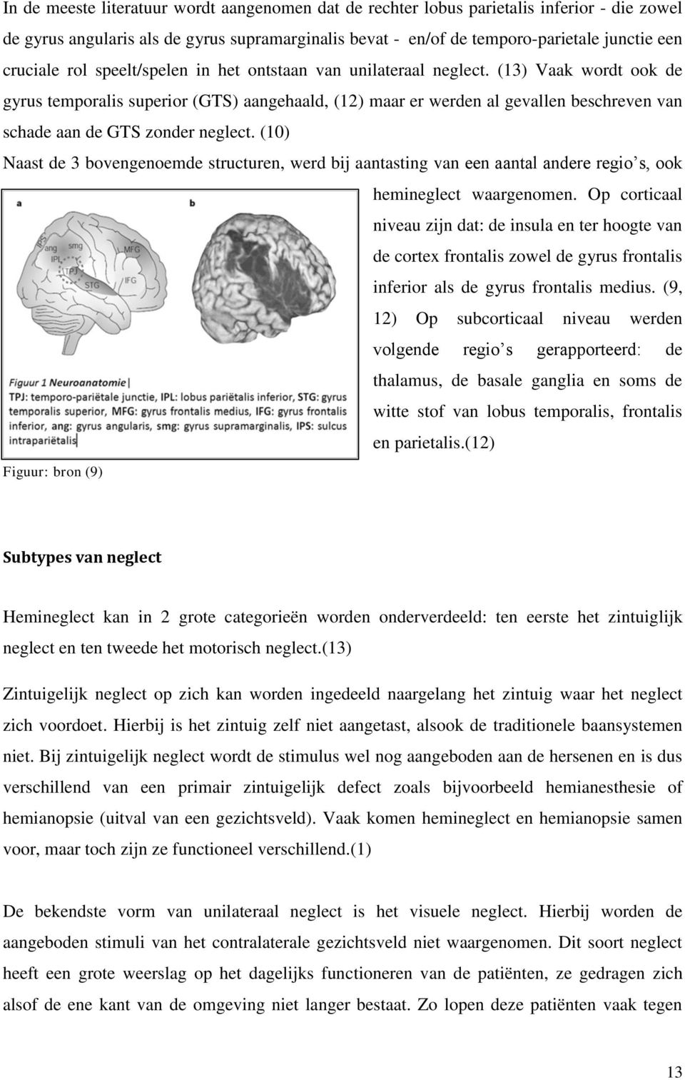 (13) Vaak wordt ook de gyrus temporalis superior (GTS) aangehaald, (12) maar er werden al gevallen beschreven van schade aan de GTS zonder neglect.