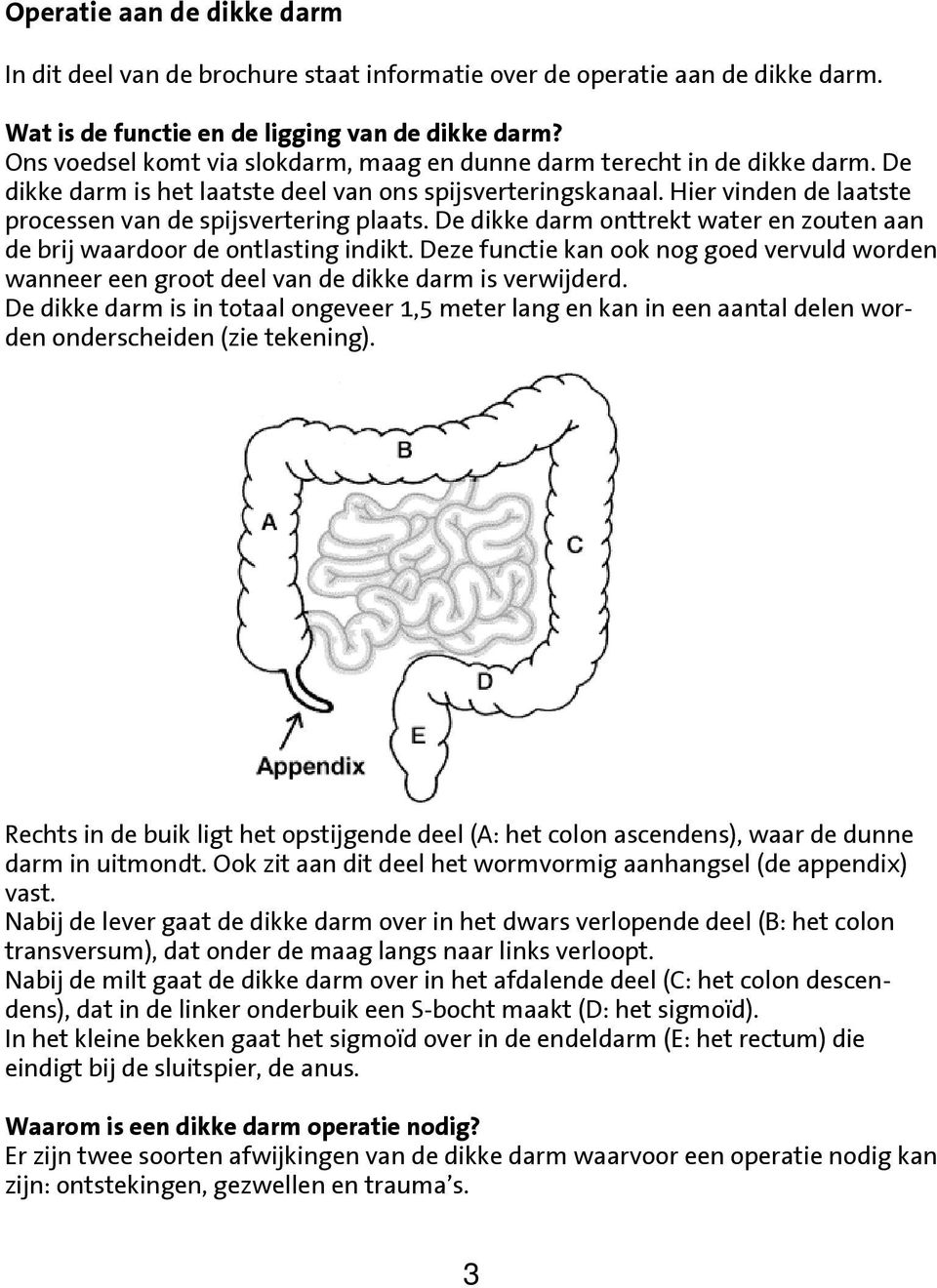 Hier vinden de laatste processen van de spijsvertering plaats. De dikke darm onttrekt water en zouten aan de brij waardoor de ontlasting indikt.