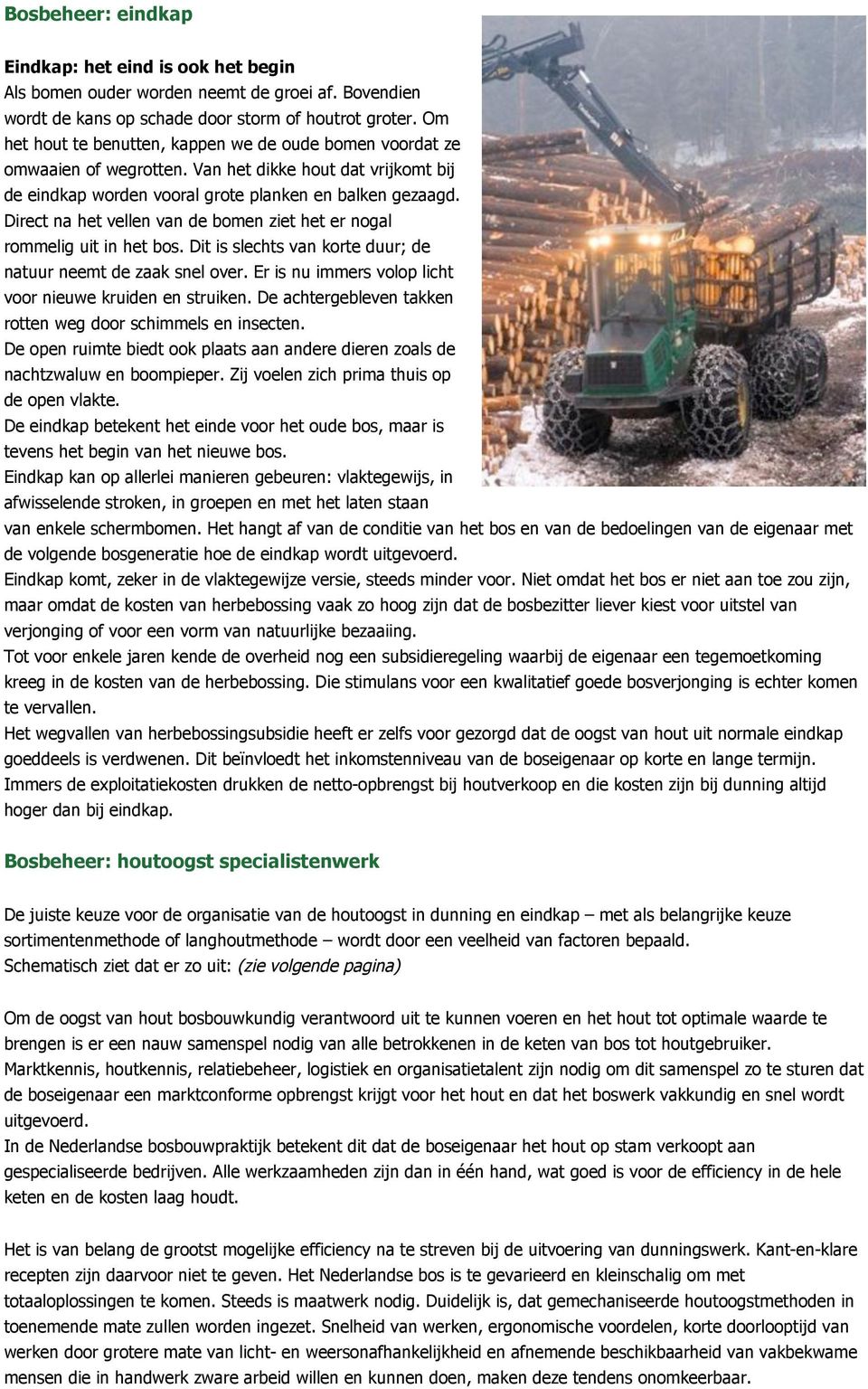 Direct na het vellen van de bomen ziet het er nogal rommelig uit in het bos. Dit is slechts van korte duur; de natuur neemt de zaak snel over.