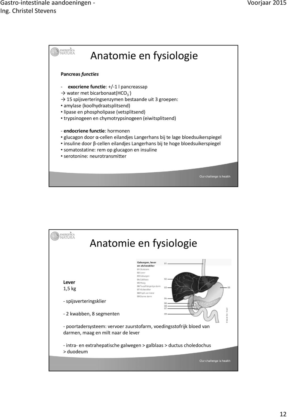 door β cellen eilandjes Langerhans bij te hoge bloedsuikerspiegel somatostatine: rem op glucagon en insuline serotonine: neurotransmitter Anatomie en fysiologie Lever 1,5 kg spijsverteringsklier 2