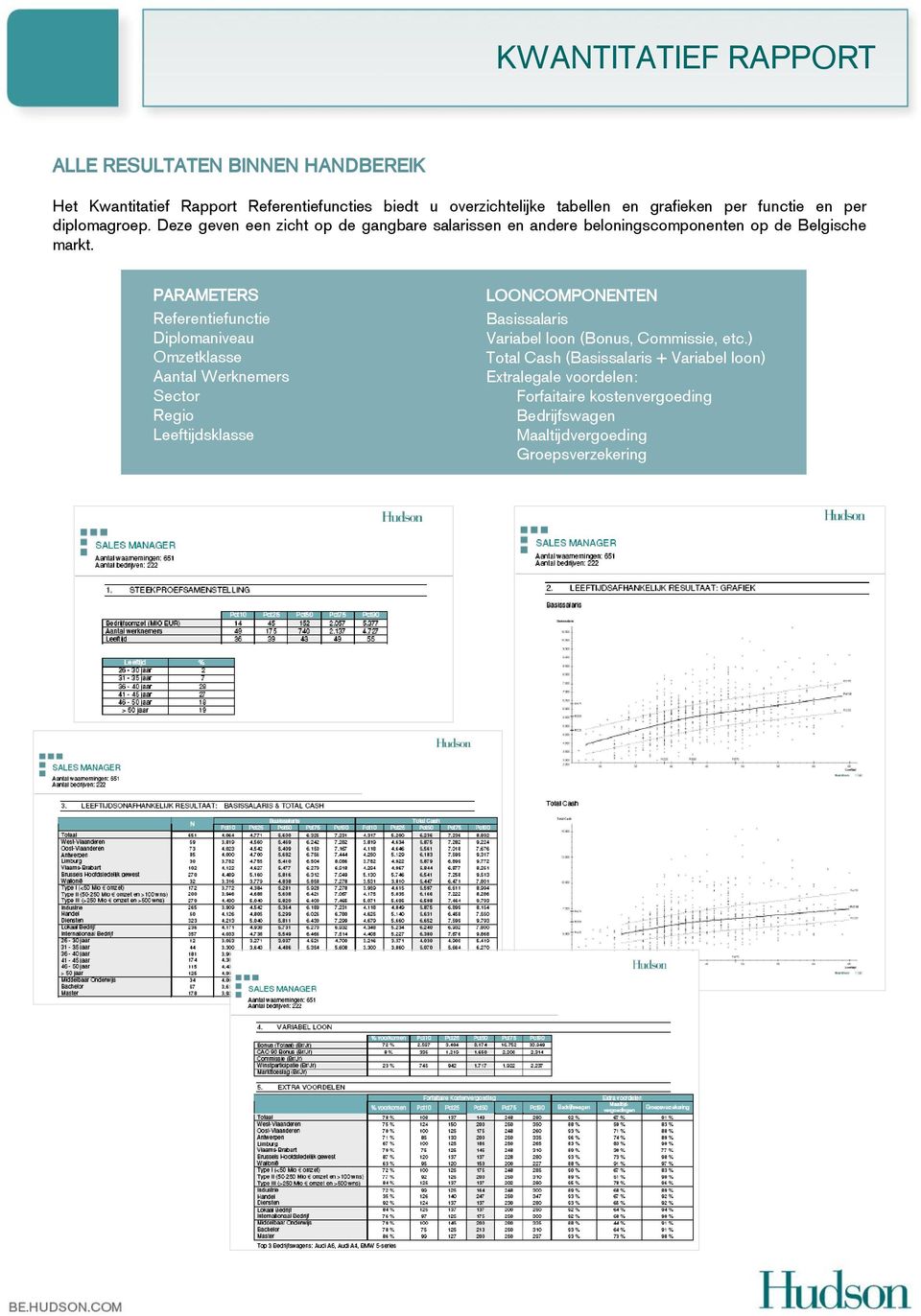 PARAMETERS Referentiefunctie Diplomaniveau Omzetklasse Aantal Werknemers Sector Regio Leeftijdsklasse LOONCOMPONENTEN Basissalaris Variabel loon (Bonus,