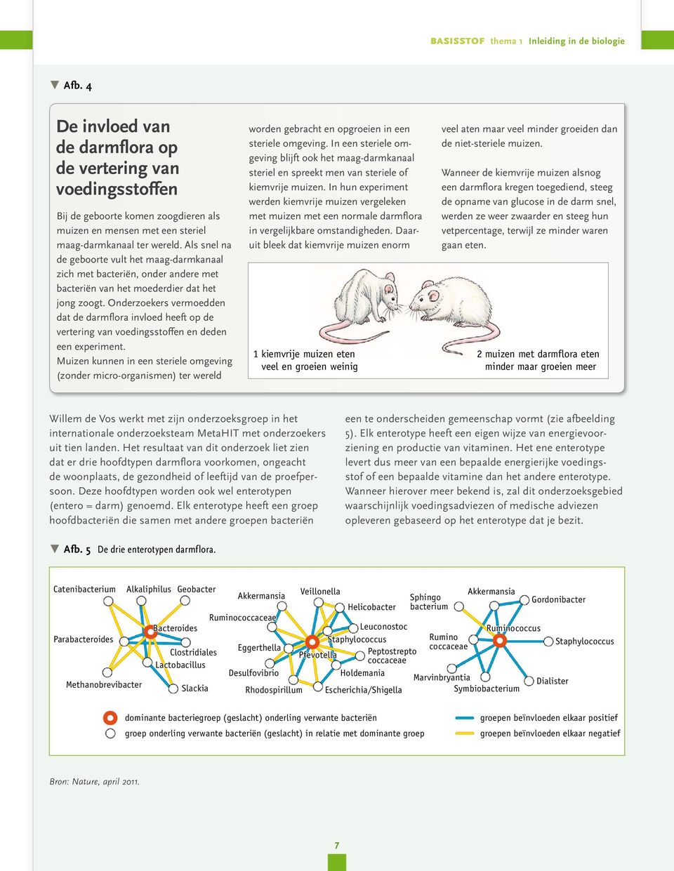 Onderzoekers vermoedden dat de darmflora invloed heeft op de vertering van voedingsstoffen en deden een experiment.