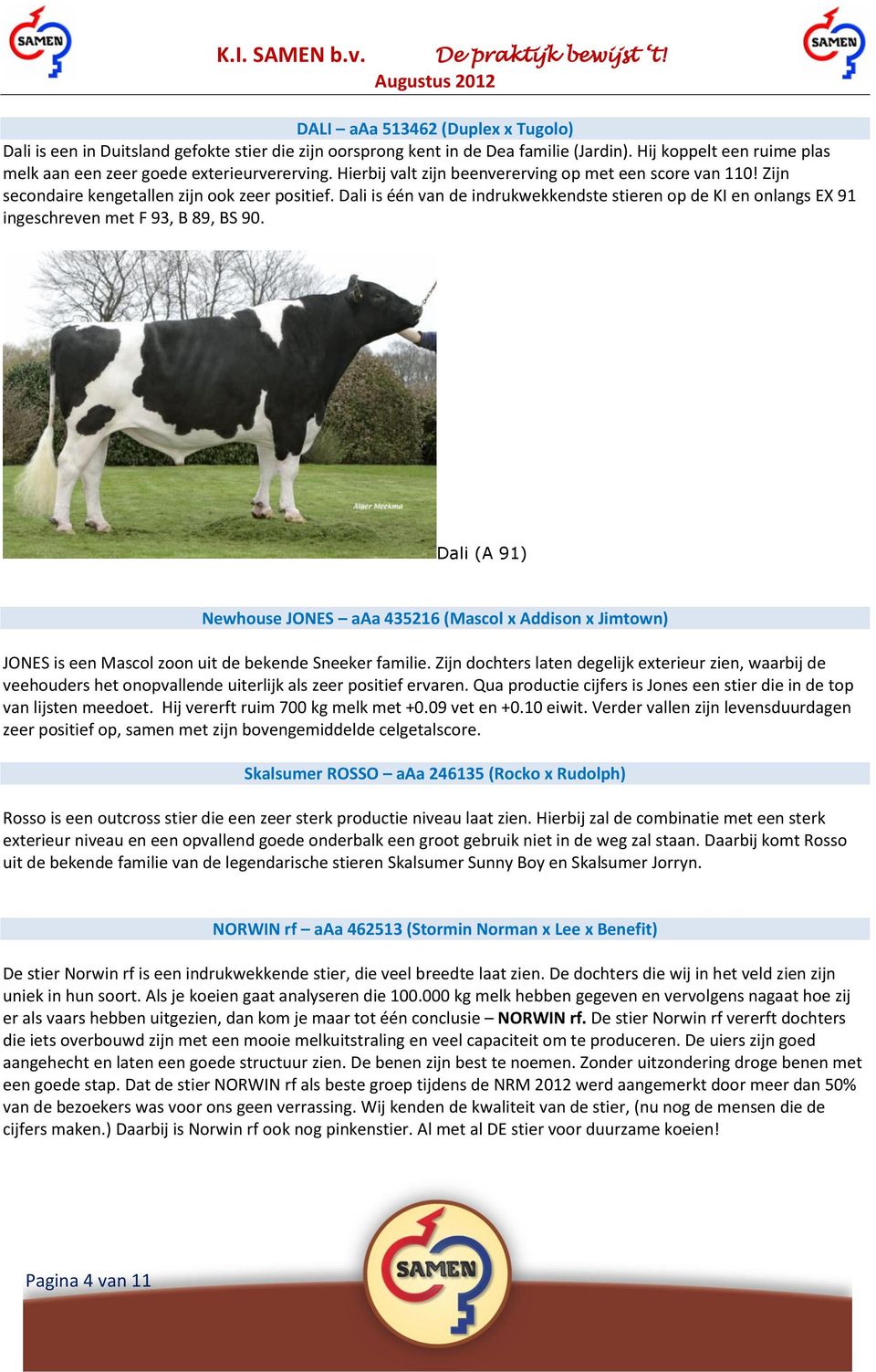 Dali is één van de indrukwekkendste stieren op de KI en onlangs EX 91 ingeschreven met F 93, B 89, BS 90.