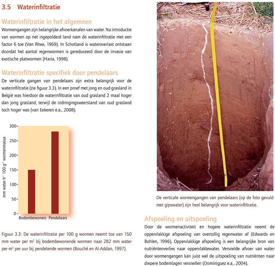 In Schotland is wateroverlast ontstaan doordat het aantal regenwormen is gereduceerd door de invasie van exotische platwormen (Haria, 1998).