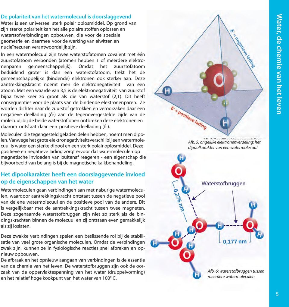 verantwoordelijk zijn. In een watermolecuul zijn twee waterstofatomen covalent met één zuurstofatoom verbonden (atomen hebben 1 of meerdere elektronenparen gemeenschappelijk).