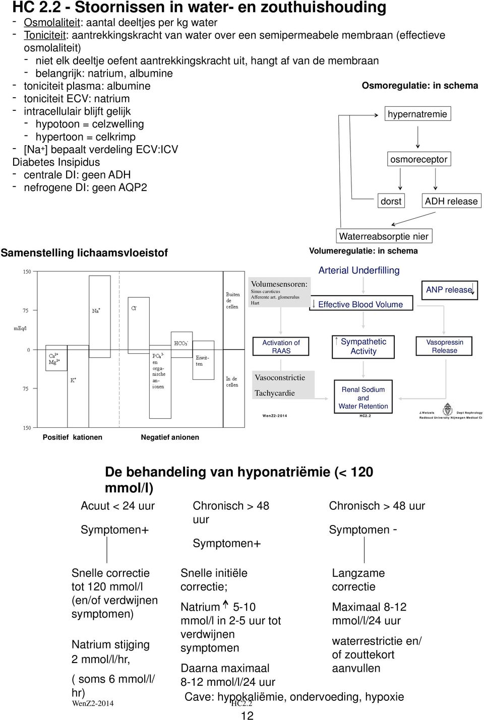 hypotoon = celzwelling - hypertoon = celkrimp - [Na + ] bepaalt verdeling ECV:ICV Diabetes Insipidus - centrale DI: geen ADH - nefrogene DI: geen AQP2 Osmoregulatie: in schema hypernatremie