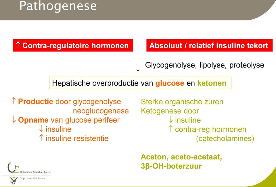 glycogenolyse neoglucogenese Opname van glucose perifeer insuline insuline resistentie Sterke