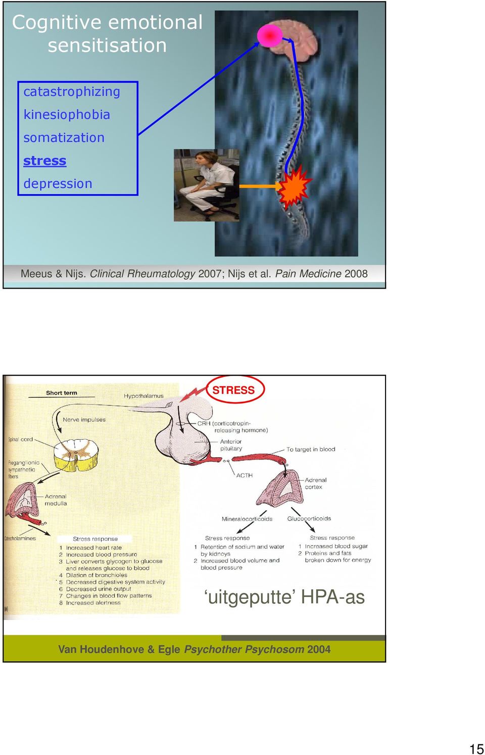 Pain Medicine 2008 22-2-2011 Pag.