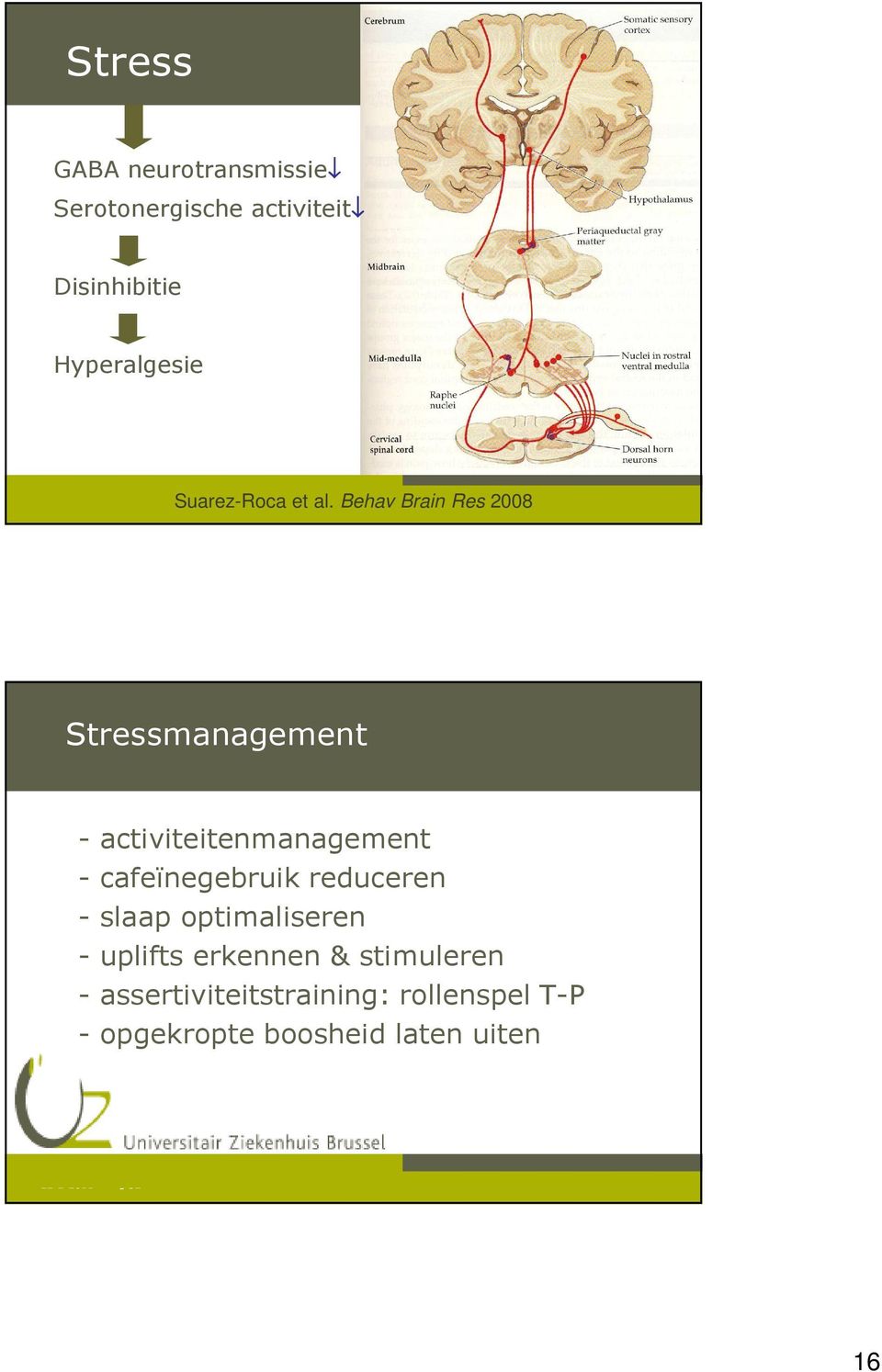 Behav Brain Res 2008 Stressmanagement - activiteitenmanagement - cafeïnegebruik reduceren