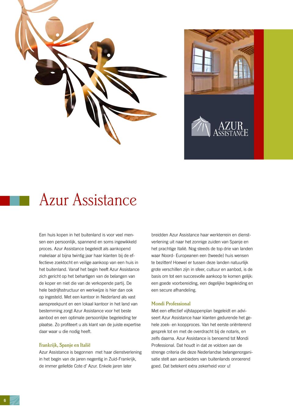 Vanaf het begin heeft Azur Assistance zich gericht op het behartigen van de belangen van de koper en niet die van de verkopende partij.