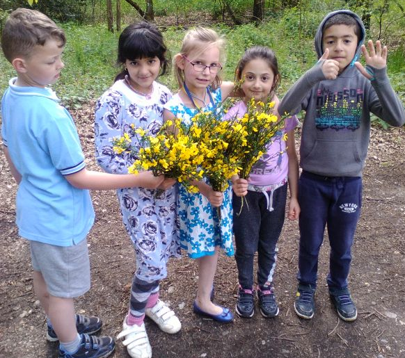 De haviken beleven hun geluksdag! De haviken gingen op 18 maart naar de speeltuin. Dit was een beloning omdat we zwerfvuil geraapt hadden. Het was er fijn. En toen vond Caitlin er 20 euro.