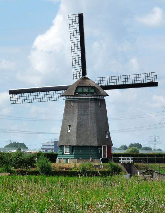 Toch kan de kap met wiekenkruis van deze ruim 440 jaar oude poldermolen, gewoon richting de wind gedraaid worden. Het kruirad is namelijk wel aanwezig, maar is geconstrueerd in de kap.