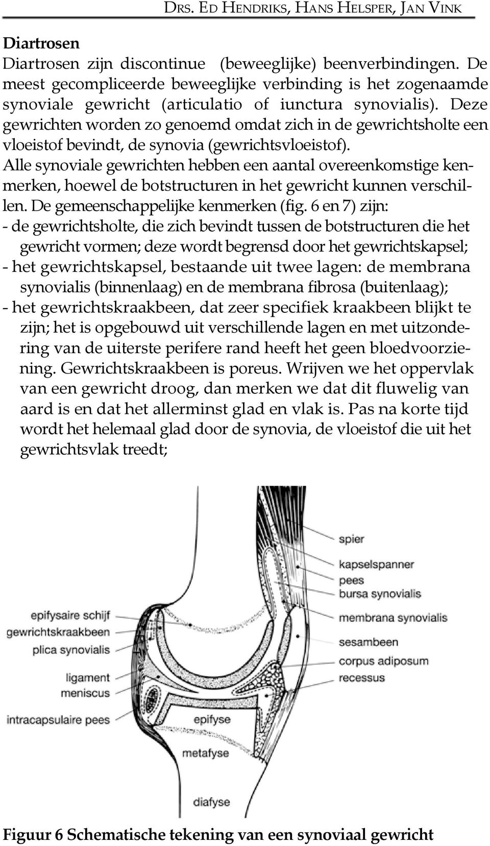 Deze gewrichten worden zo genoemd omdat zich in de gewrichtsholte een vloeistof bevindt, de synovia (gewrichtsvloeistof).