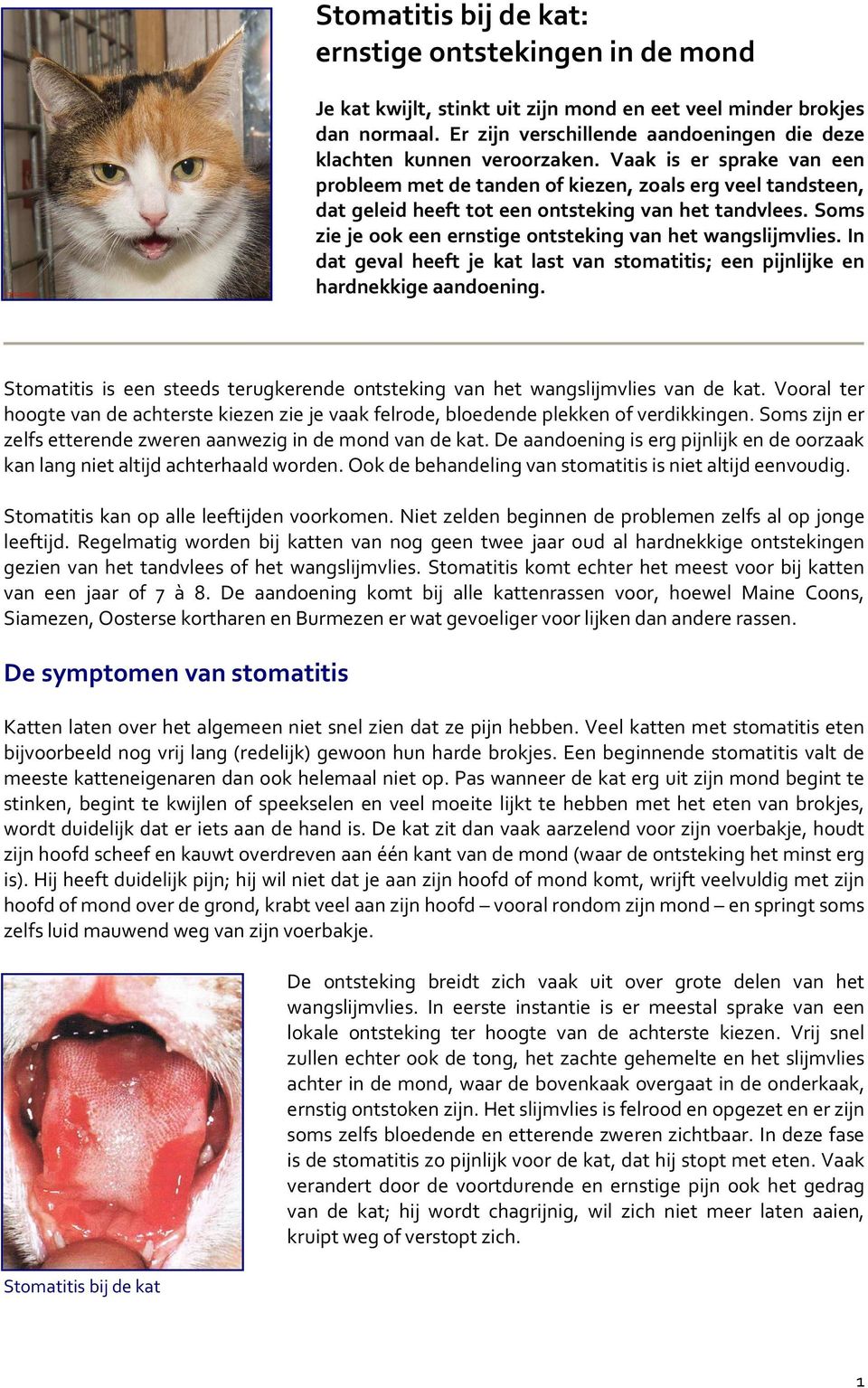 Vaak is er sprake van een probleem met de tanden of kiezen, zoals erg veel tandsteen, dat geleid heeft tot een ontsteking van het tandvlees.